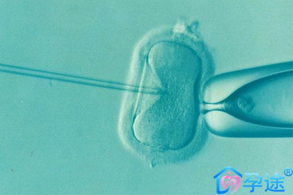 泰国试管婴儿移植有几步?