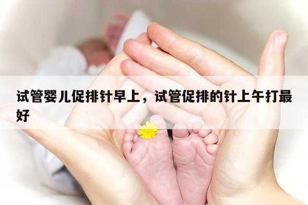 试管婴儿促排针早上，试管促排的针上午打最好