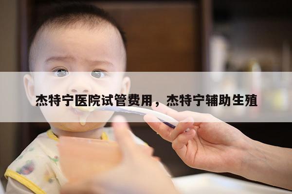 杰特宁医院试管费用，杰特宁辅助生殖