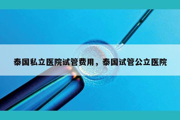 泰国私立医院试管费用，泰国试管公立医院