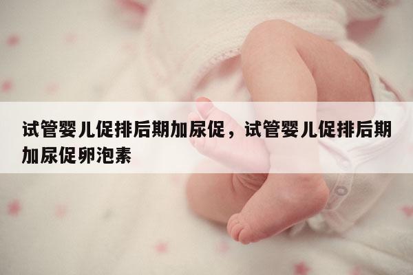 试管婴儿促排后期加尿促，试管婴儿促排后期加尿促卵泡素