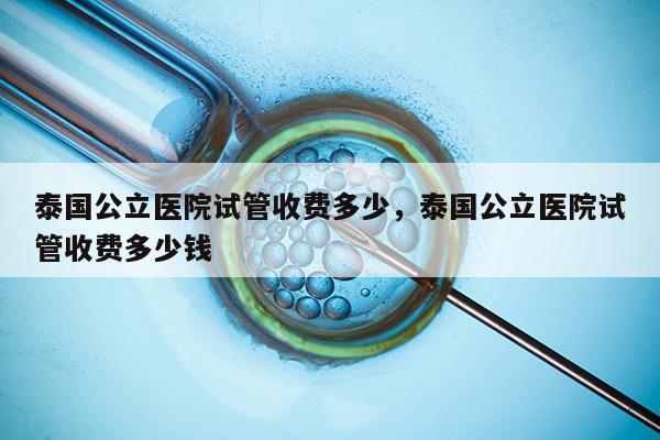 泰国公立医院试管收费多少，泰国公立医院试管收费多少钱
