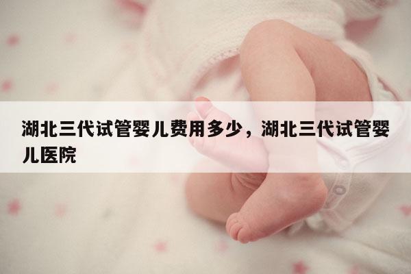 湖北三代试管婴儿费用多少，湖北三代试管婴儿医院