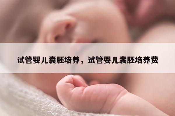 试管婴儿囊胚培养，试管婴儿囊胚培养费