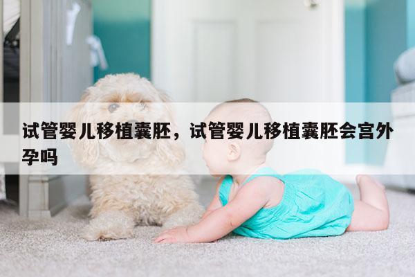 试管婴儿移植囊胚，试管婴儿移植囊胚会宫外孕吗