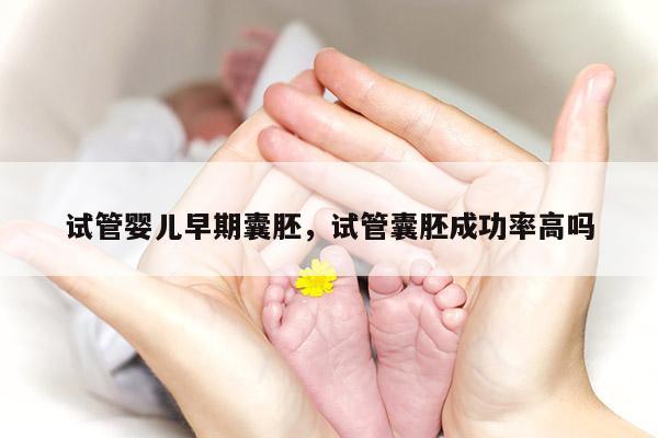 试管婴儿早期囊胚，试管囊胚成功率高吗