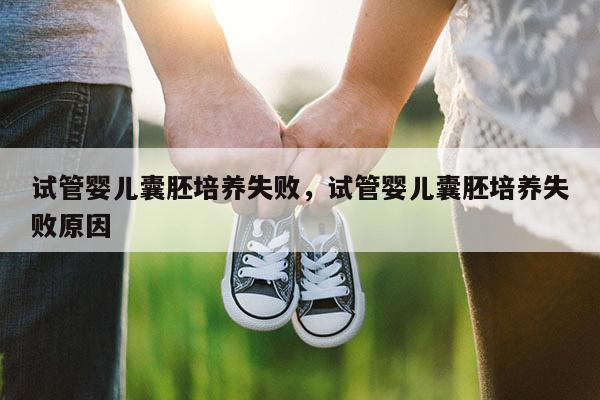 试管婴儿囊胚培养失败，试管婴儿囊胚培养失败原因