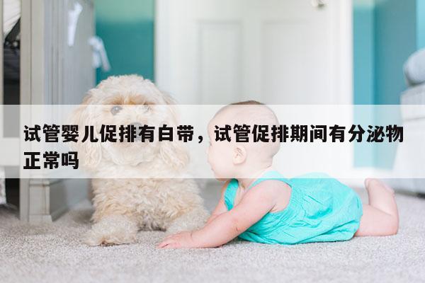 试管婴儿促排有白带，试管促排期间有分泌物正常吗