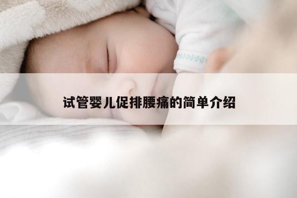 试管婴儿促排腰痛的简单介绍