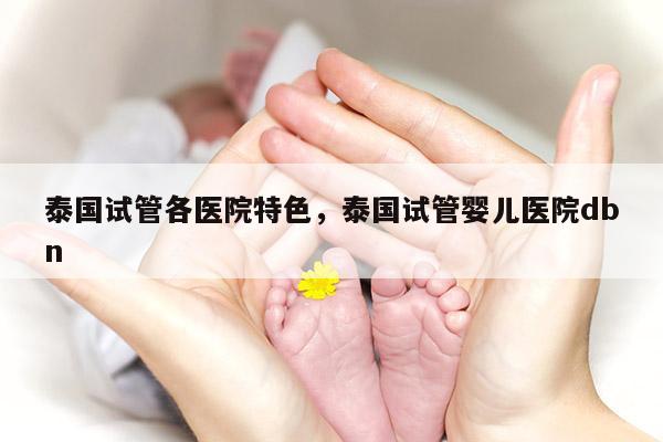 泰国试管各医院特色，泰国试管婴儿医院dbn