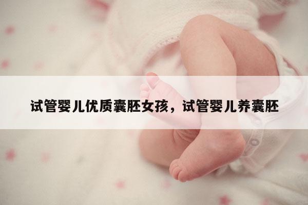 试管婴儿优质囊胚女孩，试管婴儿养囊胚