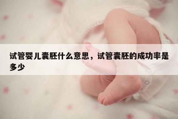 试管婴儿囊胚什么意思，试管囊胚的成功率是多少