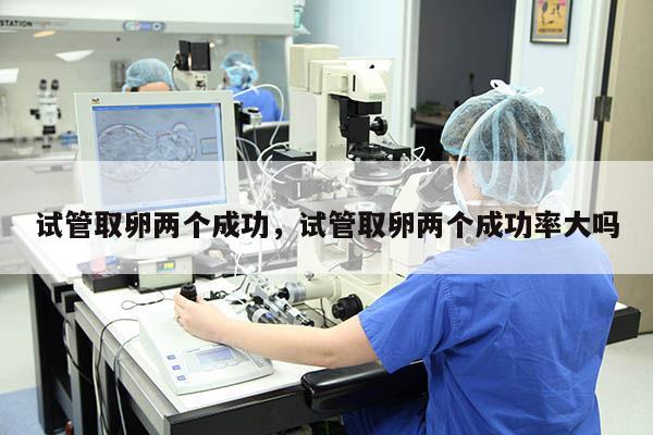 试管取卵两个成功，试管取卵两个成功率大吗