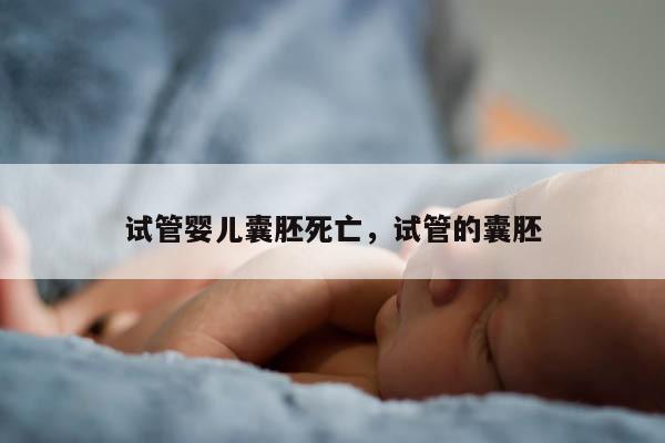 试管婴儿囊胚死亡，试管的囊胚