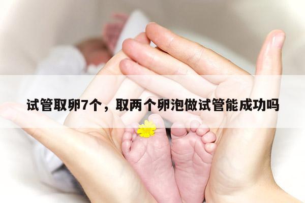 试管取卵7个，取两个卵泡做试管能成功吗