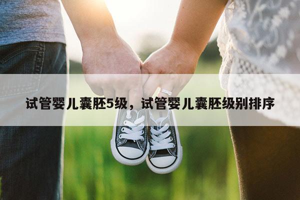 试管婴儿囊胚5级，试管婴儿囊胚级别排序