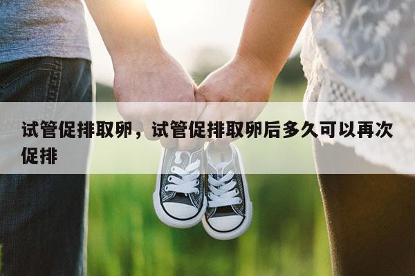 试管促排取卵，试管促排取卵后多久可以再次促排