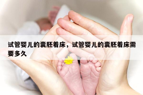 试管婴儿的囊胚着床，试管婴儿的囊胚着床需要多久