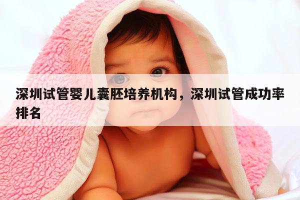 深圳试管婴儿囊胚培养机构，深圳试管成功率排名