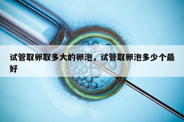 试管取卵取多大的卵泡，试管取卵泡多少个最好