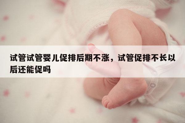 试管试管婴儿促排后期不涨，试管促排不长以后还能促吗