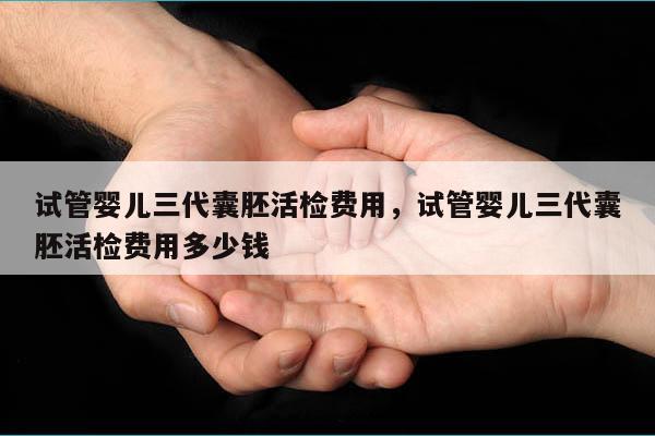 试管婴儿三代囊胚活检费用，试管婴儿三代囊胚活检费用多少钱
