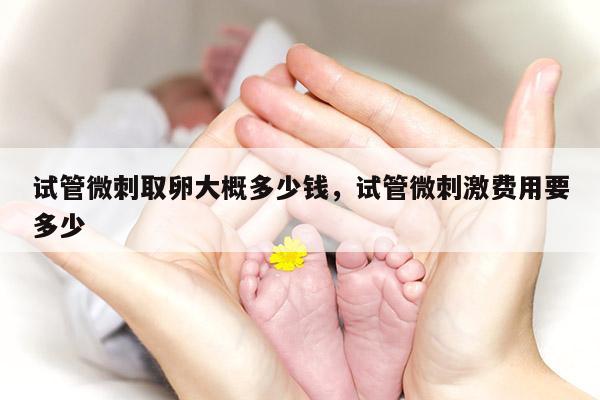 试管微刺取卵大概多少钱，试管微刺激费用要多少