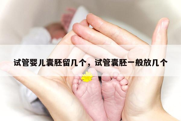 试管婴儿囊胚留几个，试管囊胚一般放几个