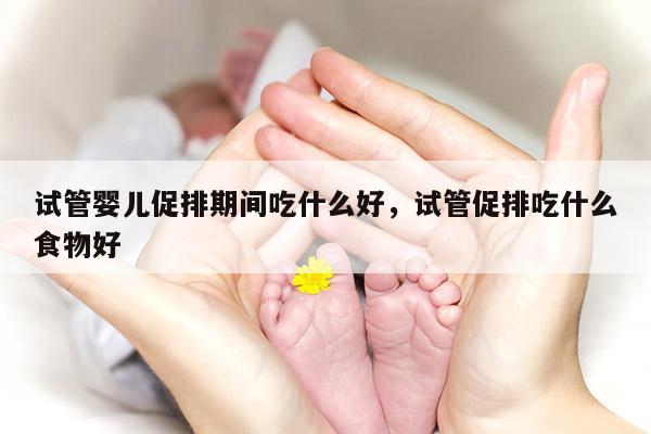 试管婴儿促排期间吃什么好，试管促排吃什么食物好