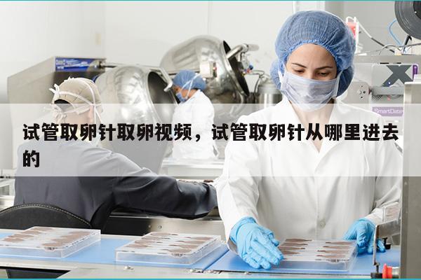 试管取卵针取卵视频，试管取卵针从哪里进去的