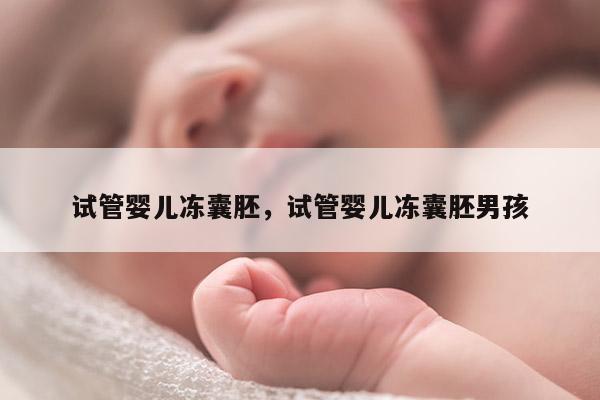 试管婴儿冻囊胚，试管婴儿冻囊胚NH