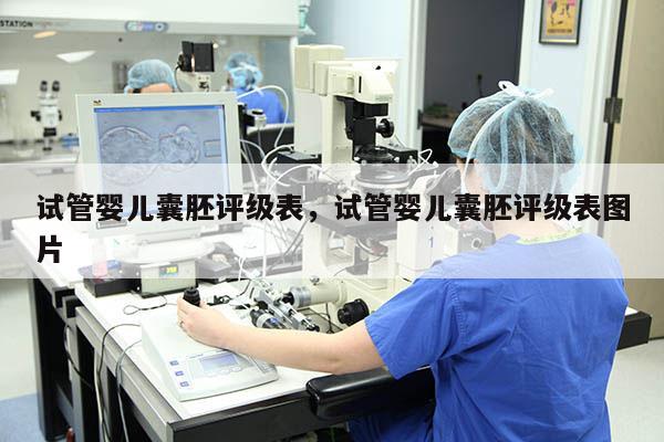 试管婴儿囊胚评级表，试管婴儿囊胚评级表图片