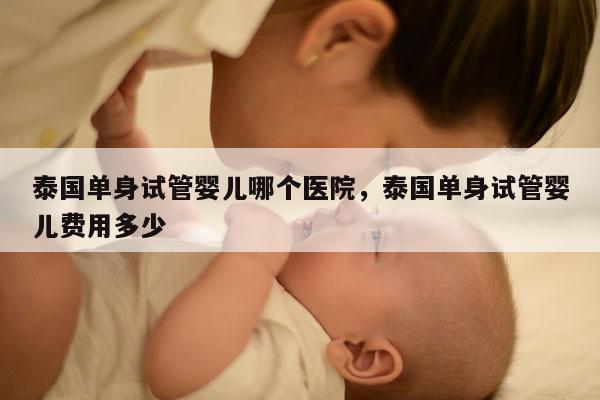 泰国单身试管婴儿哪个医院，泰国单身试管婴儿费用多少