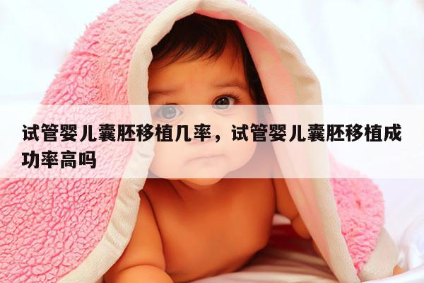 试管婴儿囊胚移植几率，试管婴儿囊胚移植成功率高吗