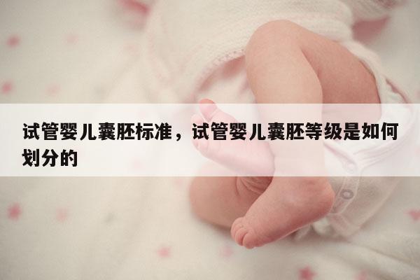 试管婴儿囊胚标准，试管婴儿囊胚等级是如何划分的