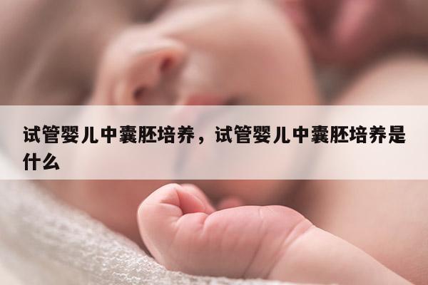 试管婴儿中囊胚培养，试管婴儿中囊胚培养是什么