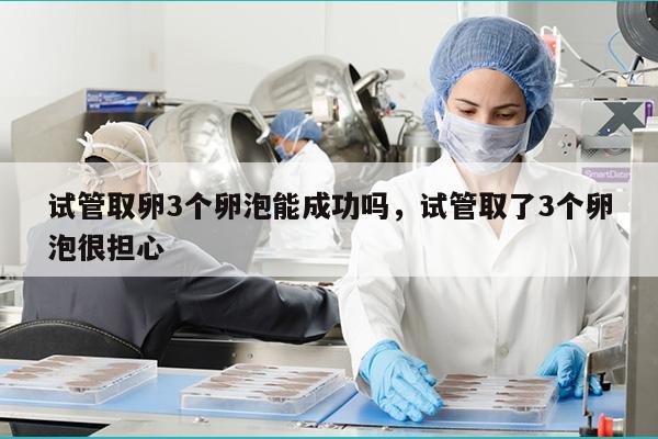 试管取卵3个卵泡能成功吗，试管取了3个卵泡很担心