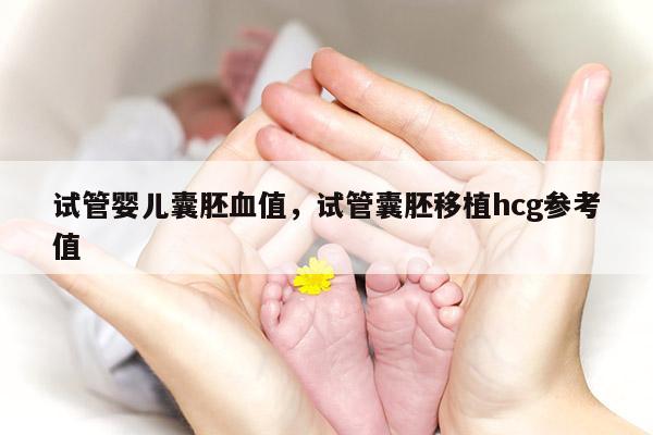 试管婴儿囊胚血值，试管囊胚移植hcg参考值