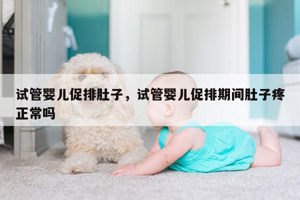 试管婴儿促排肚子，试管婴儿促排期间肚子疼正常吗