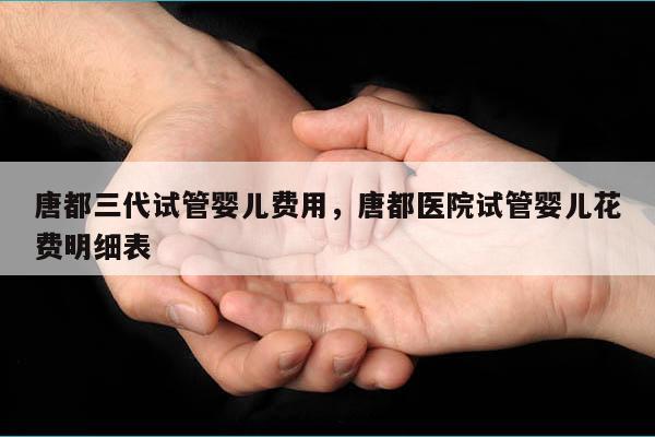 唐都三代试管婴儿费用，唐都医院试管婴儿花费明细表