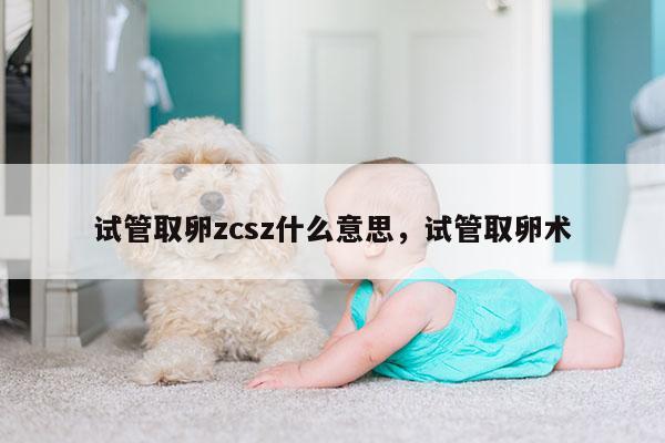 试管取卵zcsz什么意思，试管取卵术