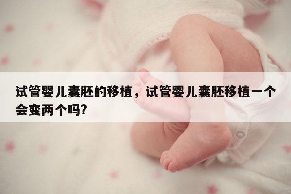 试管婴儿囊胚的移植，试管婴儿囊胚移植一个会变两个吗?