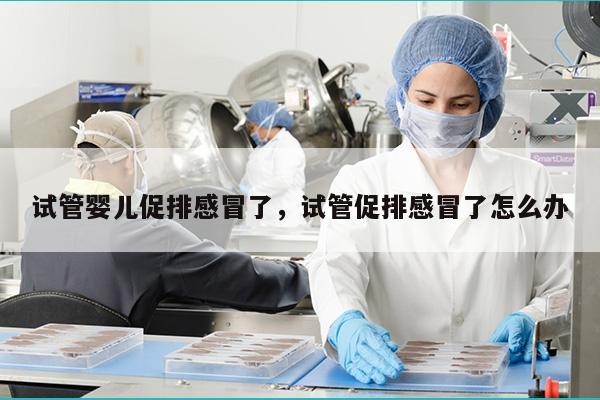 试管婴儿促排感冒了，试管促排感冒了怎么办