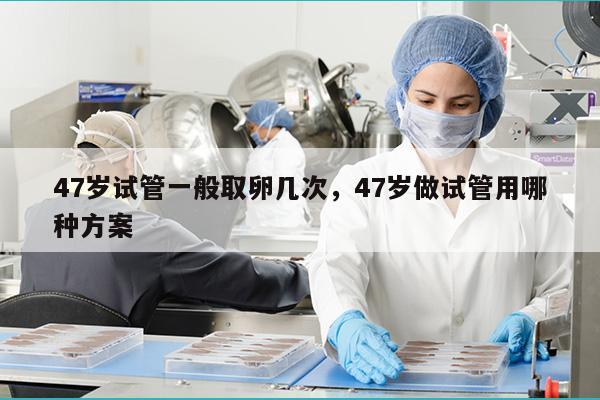 47岁试管一般取卵几次，47岁做试管用哪种方案